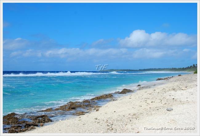 Thalasso092.JPG